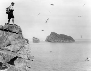 A man standing on a cliff edge on Hirta, St Kilda.