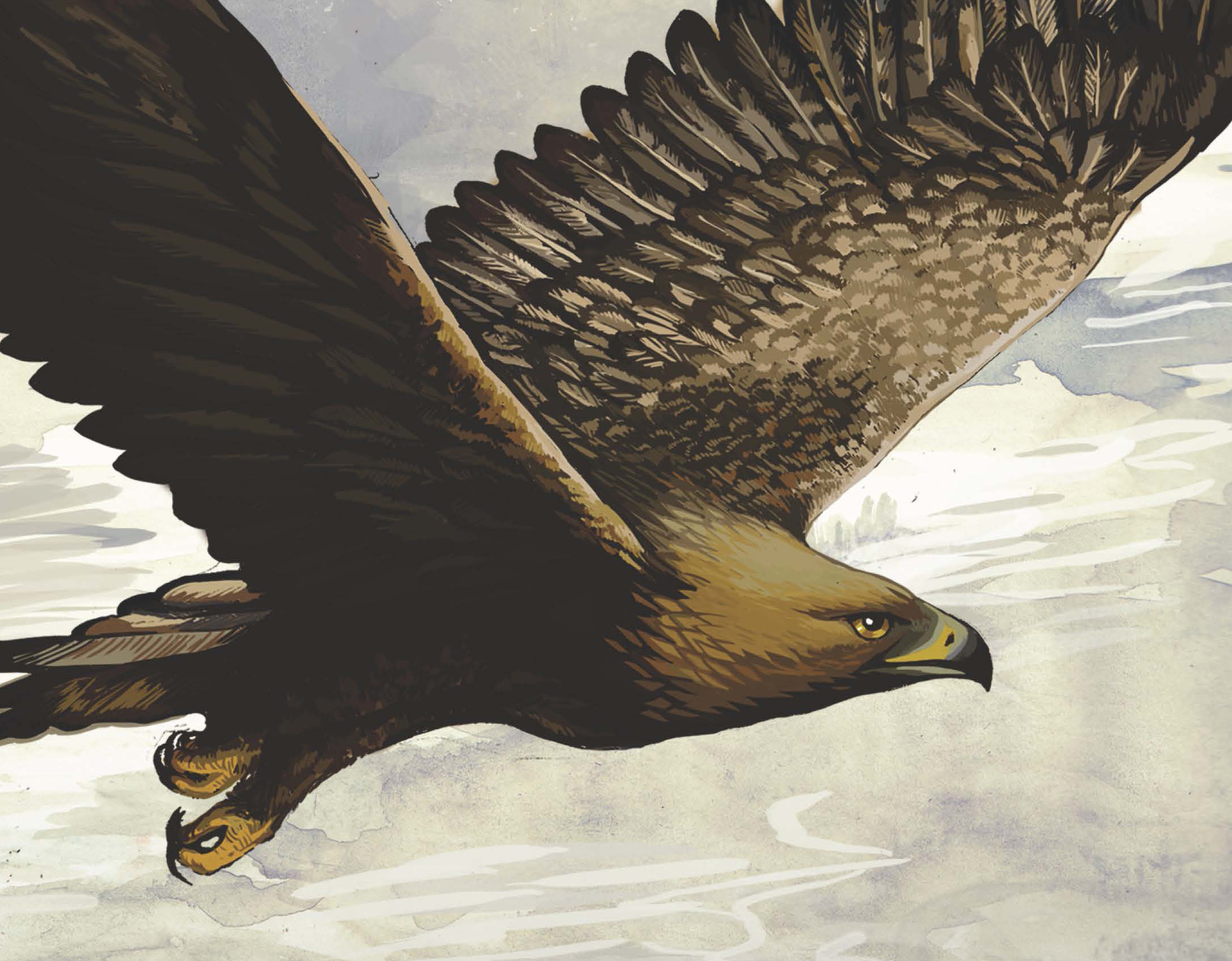 The Eagle’s Way