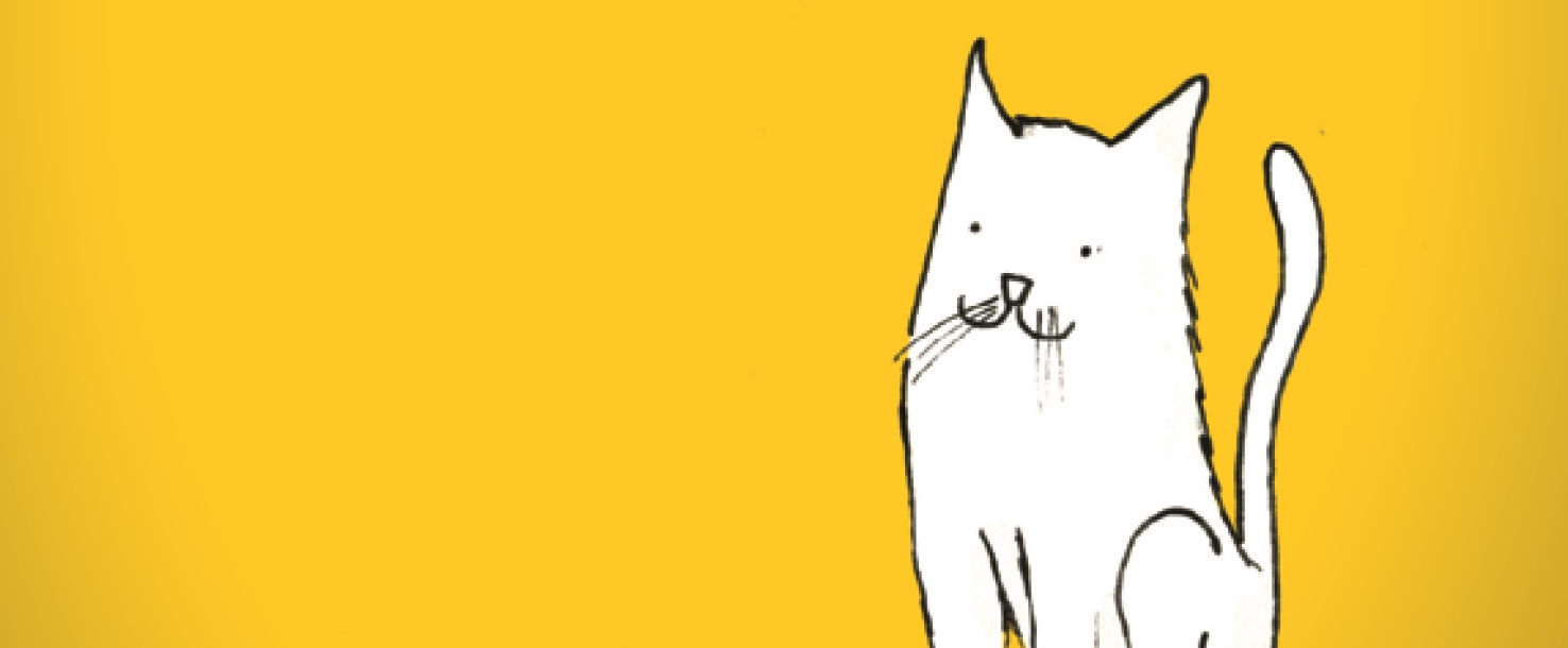 Catology