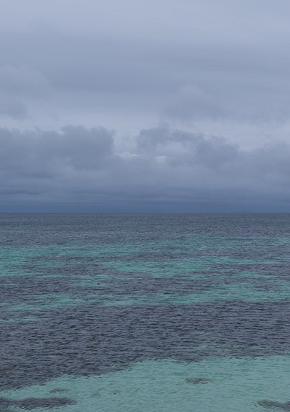 DSCF2564