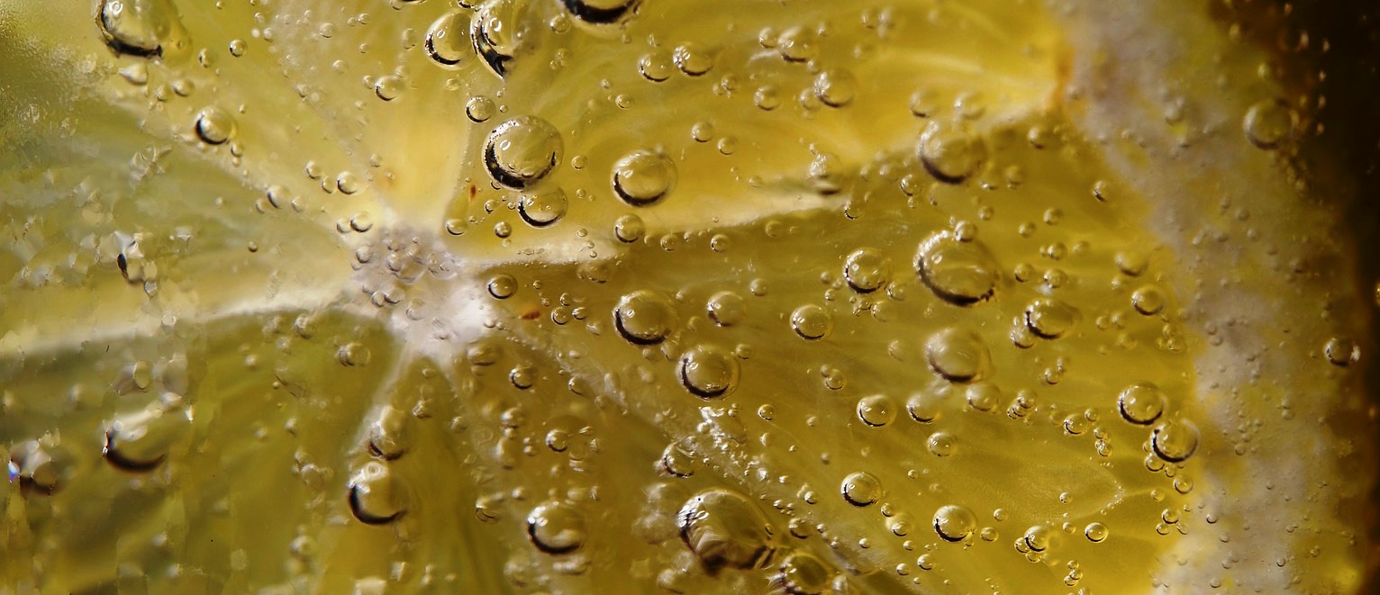 A Taste Of Scotland’s Gins