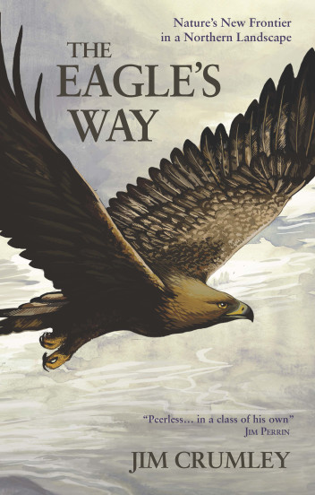 The Eagle’s Way