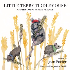 Little Terry Tiddlemouse