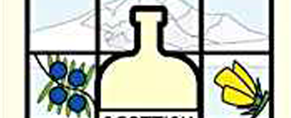 The Gin Clan: Scottish Gins and Distilleries