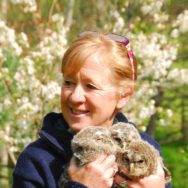 Polly Pullar