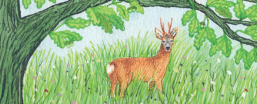 The Nature of Summer, The Nature of Spring