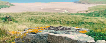 Wild History: Journeys into Lost Scotland