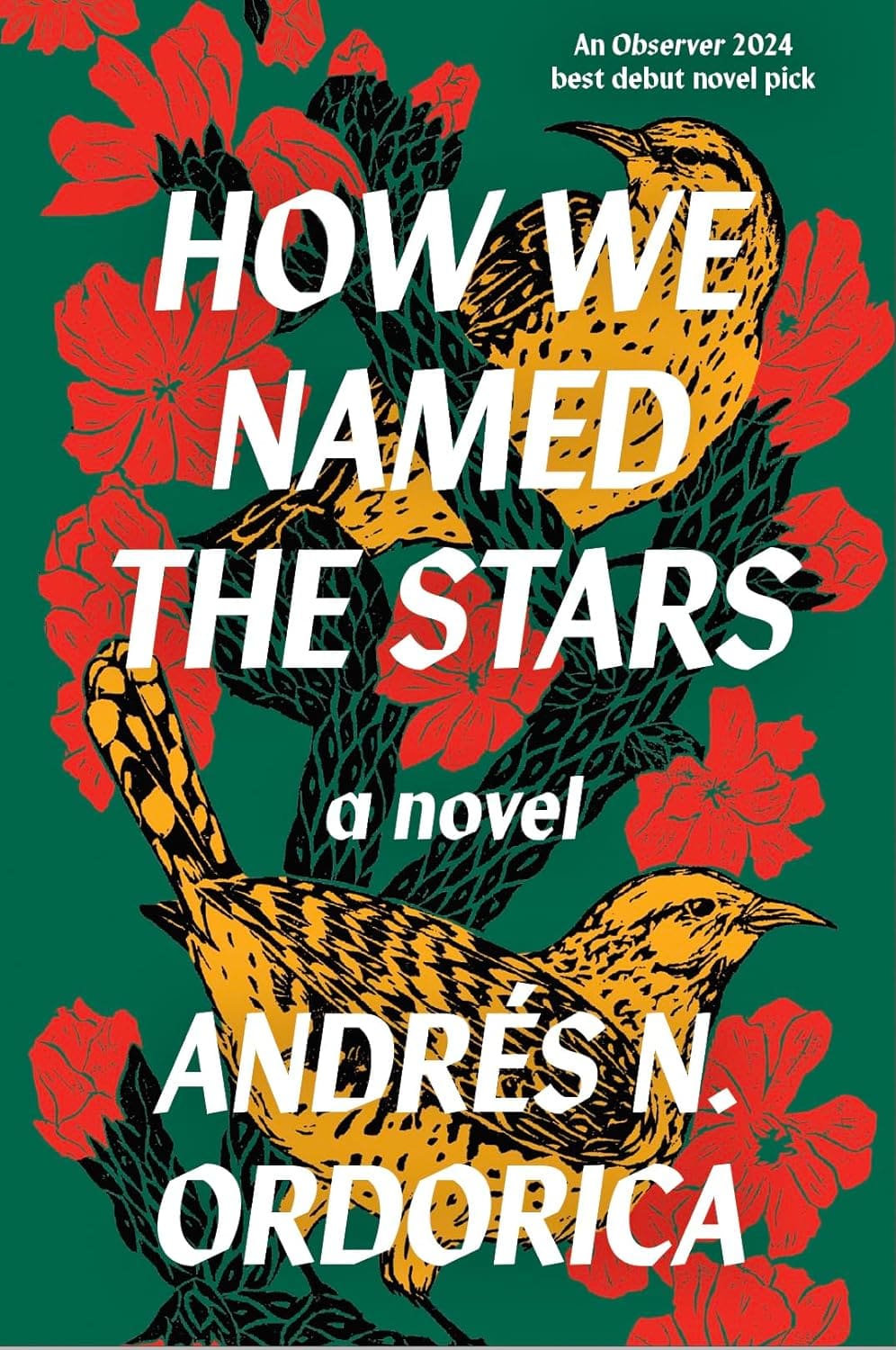 First Stars Book How We Named the Stars - Books from Scotland