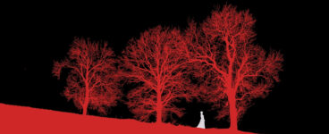 The Witch, the Seed and the Scalpel