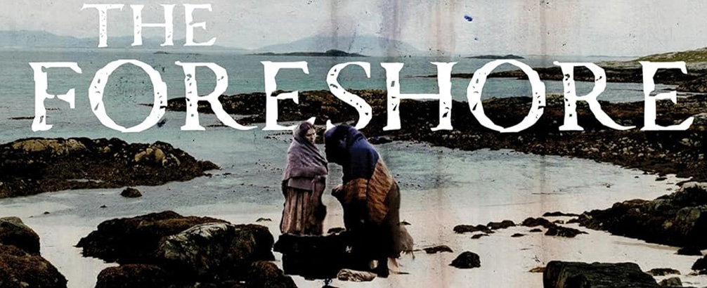 The Foreshore by Samantha York