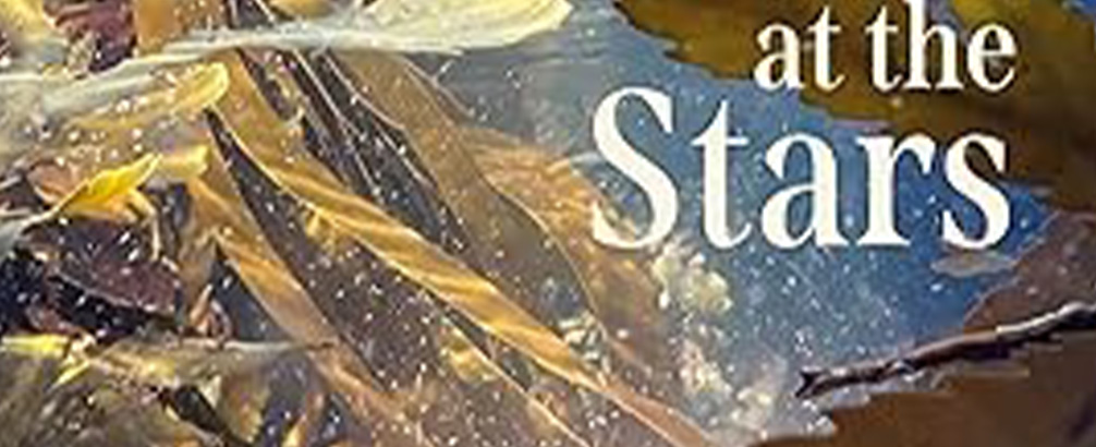 Looking Down at the Stars by Christina Riley