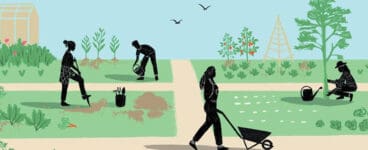 Common Ground: A Q & A with Elissa Soave