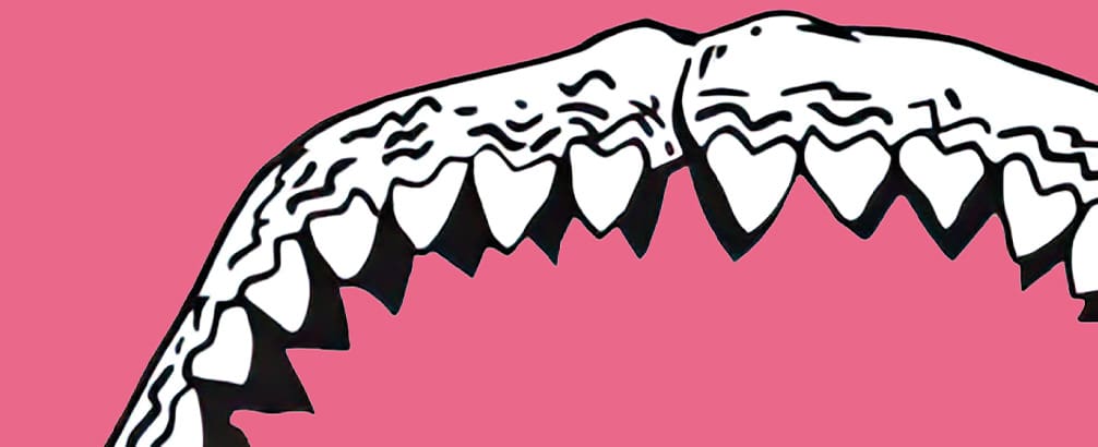 Devour Everything by Sarah Stewart