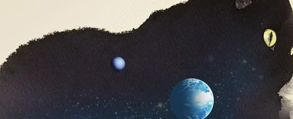 The Delusions by Jenni Fagan