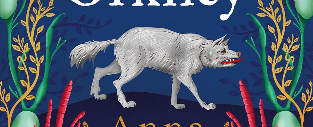 The Wise Witch of Orkney by Anna Craig