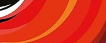 Everything Everyday by Hannah Lavery