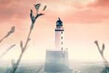 Saltwater: A Midsummer Ghost Story by Elaine Thomson